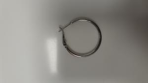 CS770/2024 SILVER EARRING